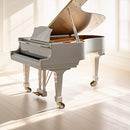 Set 3 360 ° Ruedas Rigidas Livianas